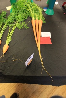 long carrots